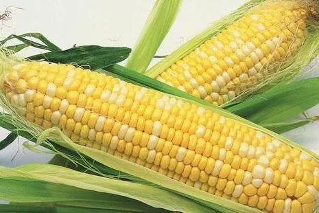 10種轉基因産品批準上(shàng)市(shì)，歐盟為(wèi)何不(bù)再“保守”？